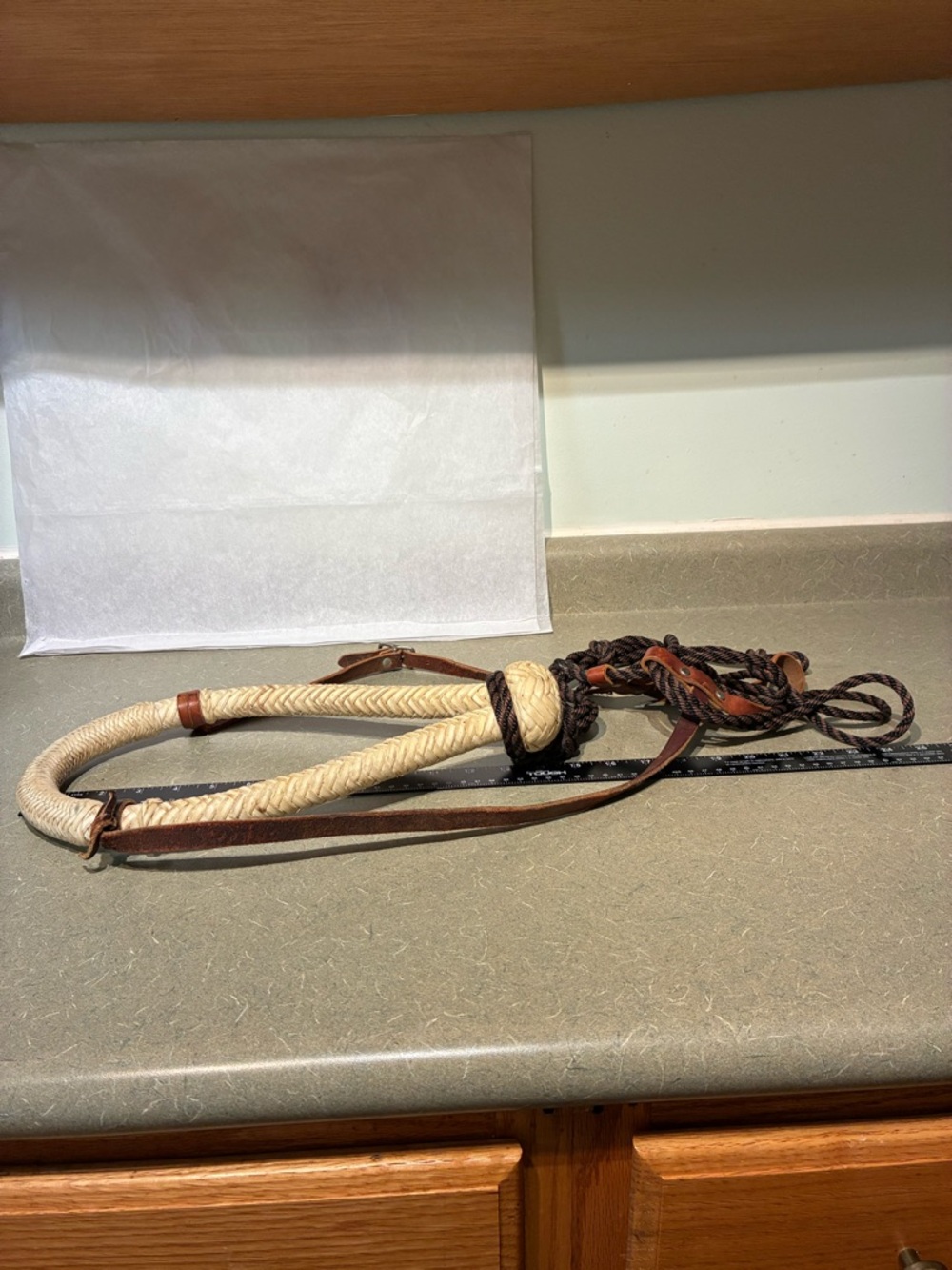 Bosal With Headstall**READ - Picture 9 of 14